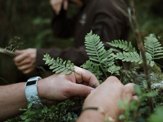 Cueillette en forêt avec le Chef Clément Bouvier : une expérience sensorielle  exclusive signée Enjoy Trip 