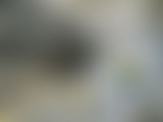 ¿Por qué es importante el control preventivo de plagas en fábricas de Ciudad de México?