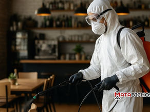 Fumigadores de restaurantes: Mantén tu negocio higiénico y libre de plagas