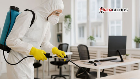 Fumigaciones y Sanitización de Oficinas: Doble Protección para tu Empresa