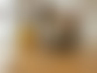 Con la fumigación se van todos los animales: protege tu hogar de plagas