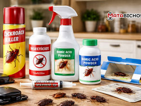 Mejores productos de fumigación para cucarachas
