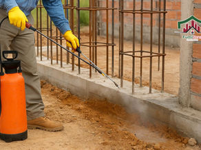 Para qué sirve la fumigación antitermita en la construcción