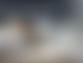 Fumigación de chinches en hoteles y departamentos: guía completa