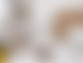 ¿Es eficiente la fumigación contra chinches?