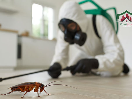 Cómo eliminar cucarachas en casa de forma definitiva en CDMX