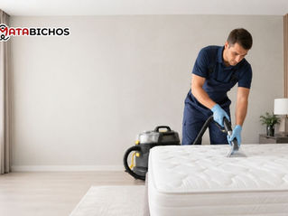 Empresa de limpieza de colchones: cómo elegir un servicio profesional y confiable