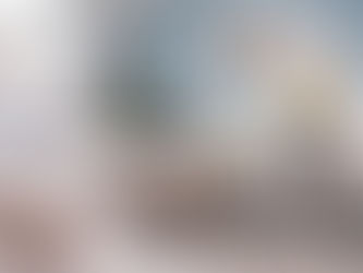 ¿Cuánto cuesta una fumigacion de chinches en la cdmx?