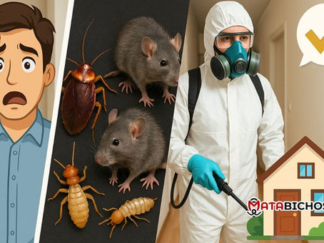 ¿Con quién puedo ver lo de fumigación en la Ciudad de México?