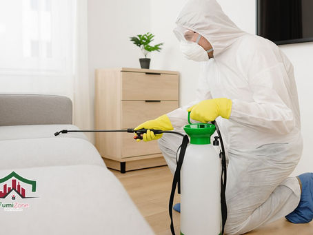 Guía definitiva para fumigar departamentos infestados de pulgas en CDMX