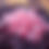 Thumbnail: Zenia Cannabis Co. 1:1 Gumdrops