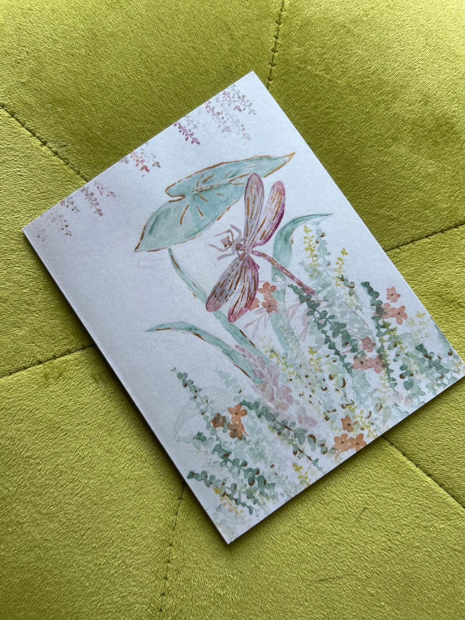 dragonfly