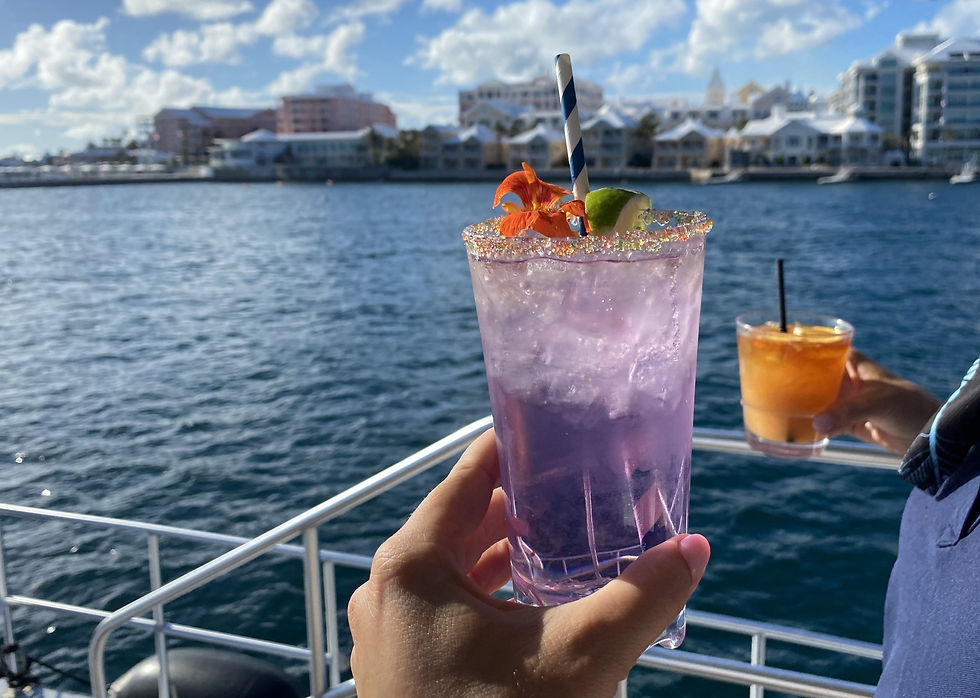 6PM MINI CRUISE Thursday 1st July 2021 -  "MINI CRUISE TICKETS"     