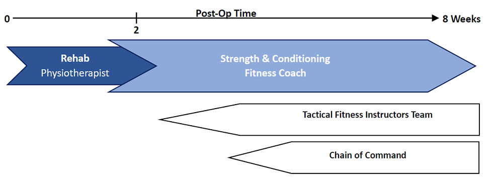 A well-integrated model of the rehabilitation process-ExultX