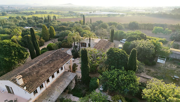 Screenshot 2026-04-21 at 11.16_edited.jp