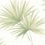 Thumbnail: The Leaf Texture Wallpaper (MAT 34514)