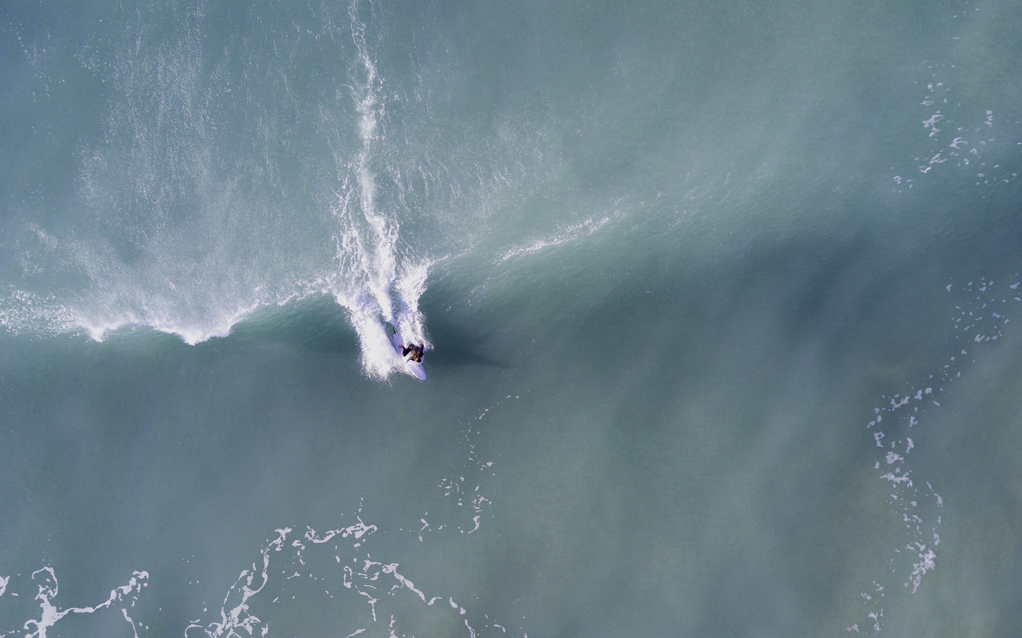 Surfer