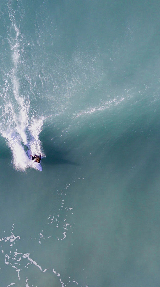 Surfer