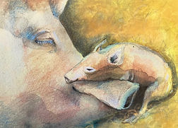 pigs.jpg