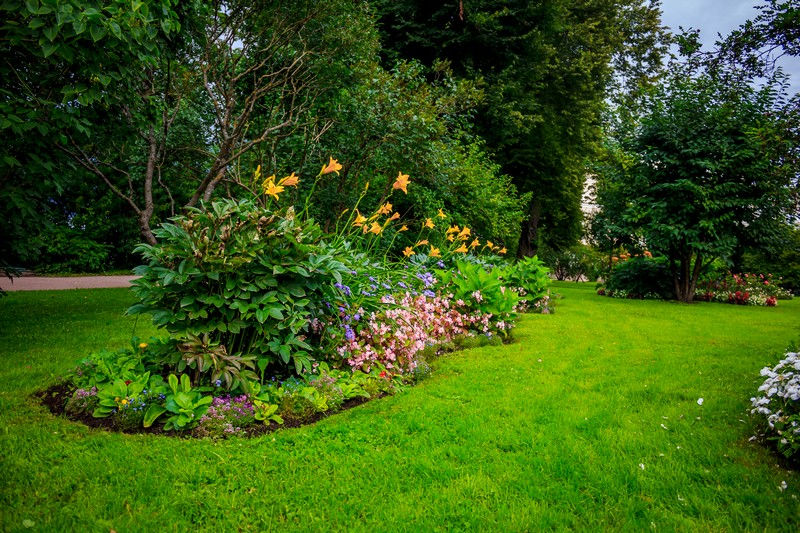 Mojica Landscaping modesto california landscaping service