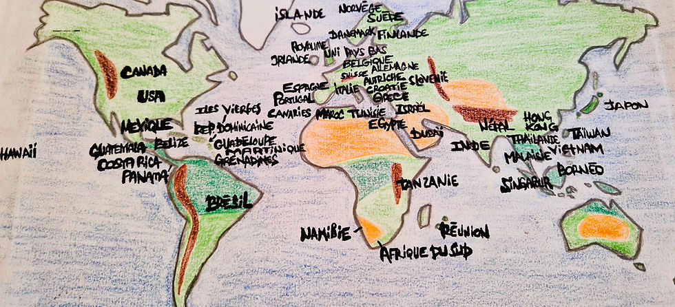carte monde de voyages