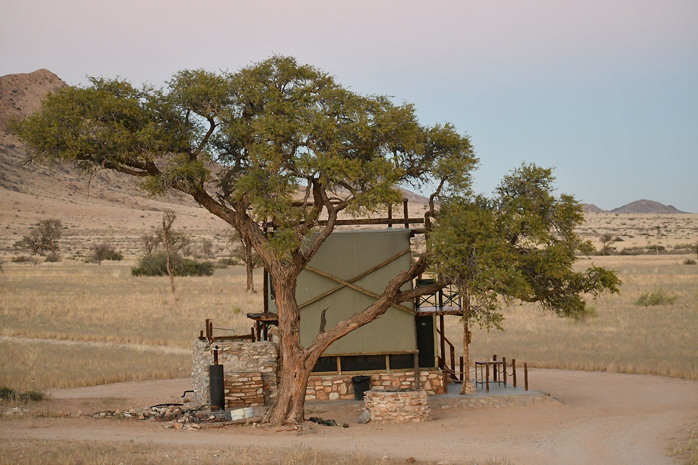 Perdu dans la savane - Camp Gecko Namibie