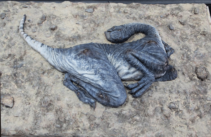 Helena-Curry-Painted-Conchoraptor.gif