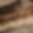 28.png