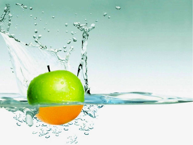 Project Appleseed Sponsorship
