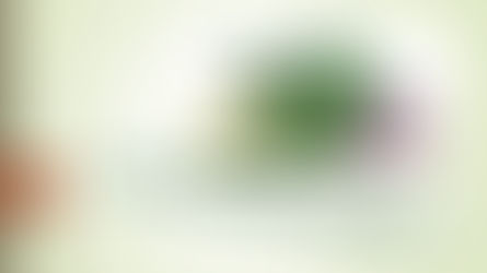  L'idea  della settimana