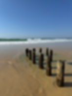 Pieux en bois sur une plage ensoleillée avec vagues.