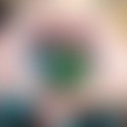 Education workshop with succulent plants 20/11/2023