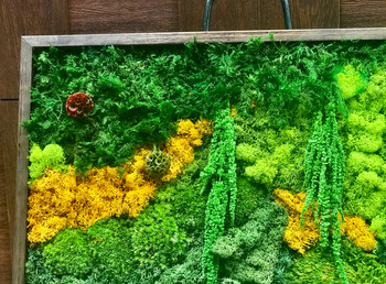 moss, flowers, amaranthus