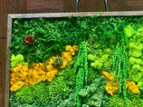 moss art