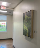 Living aura moss art