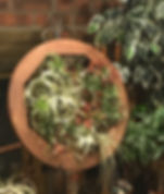 fullsizeoutput_352e.jpeg