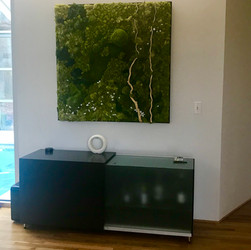 commissioned moss frame