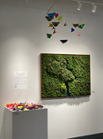 Living aura moss art