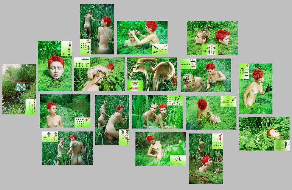 "Princess Froggy" photoinstallation layout