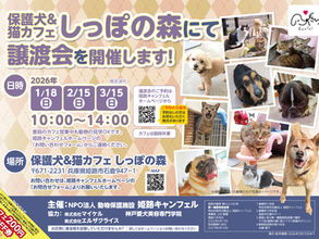 【3月ご予約受付中】2025年1~3月譲渡会