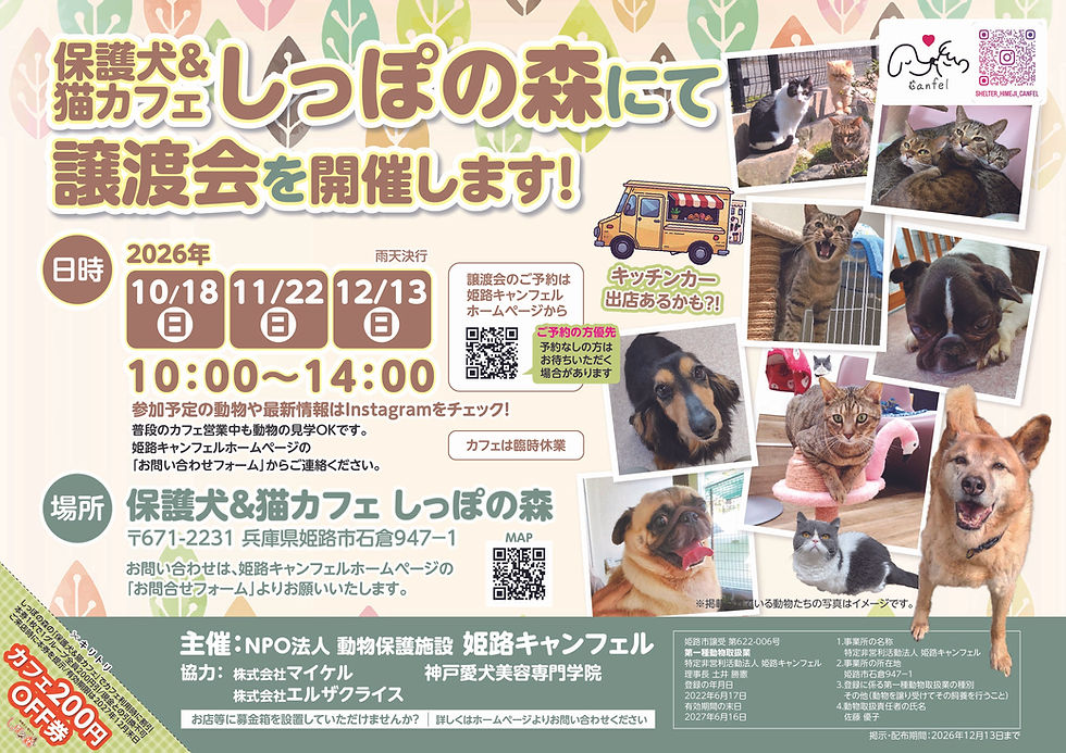 【10月ご予約受付中】2026年10~12月譲渡会