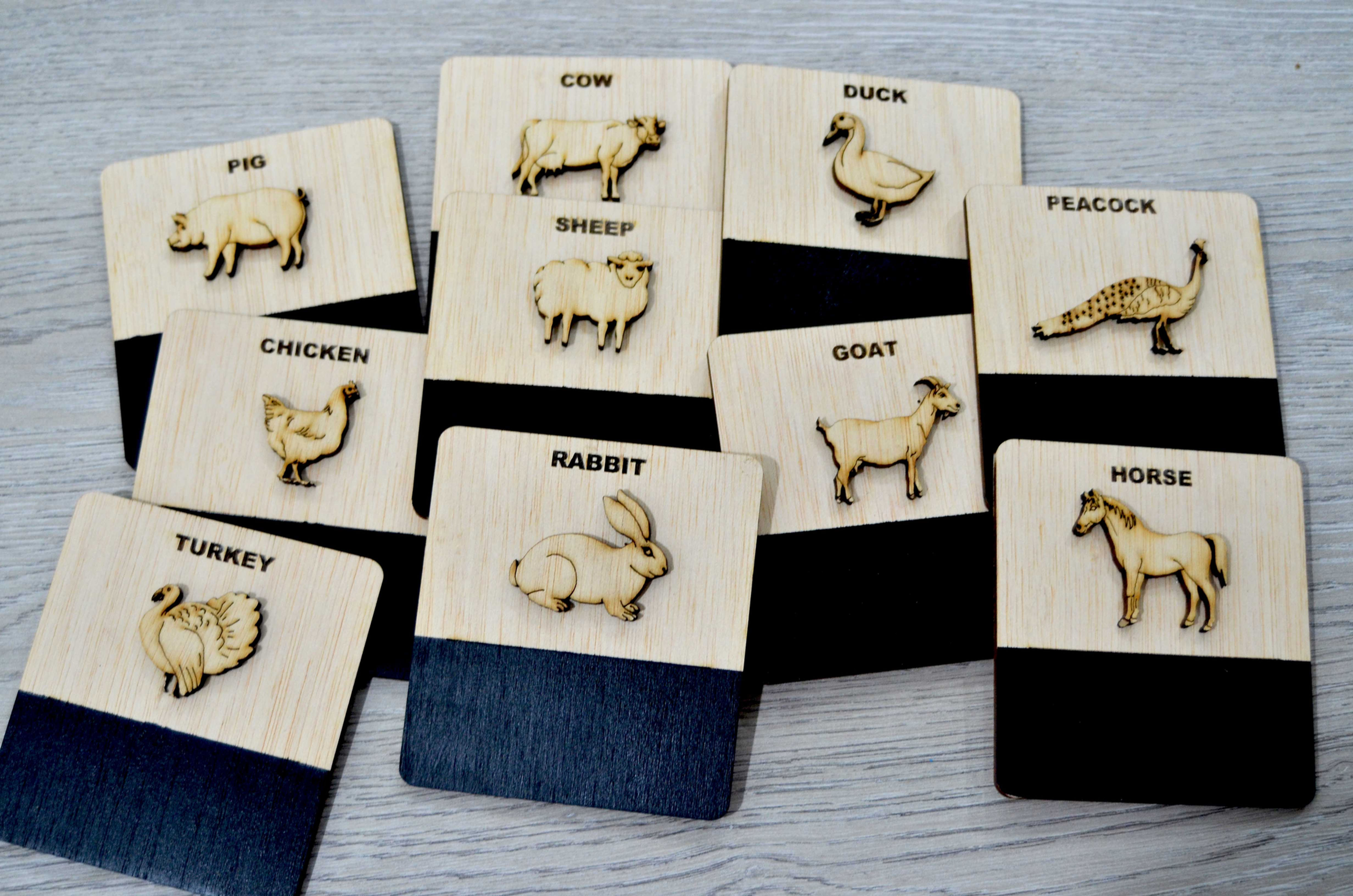 Montessori cards