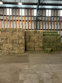 Barn Pic2.jpg