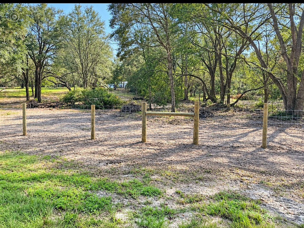 Woven wire farm fence with wood posts around a wooded pasture.