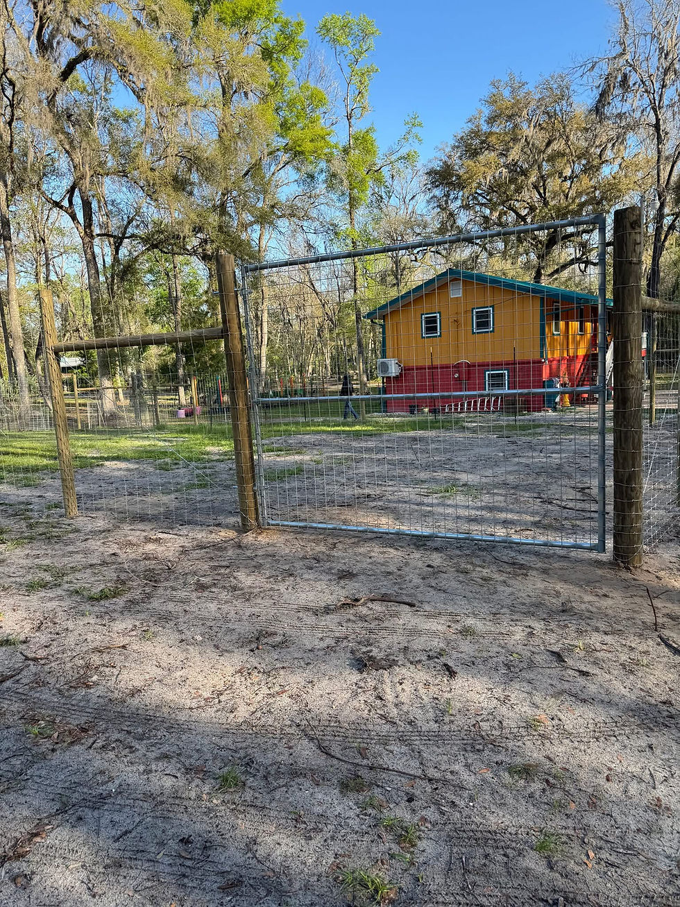 Deer gate installation