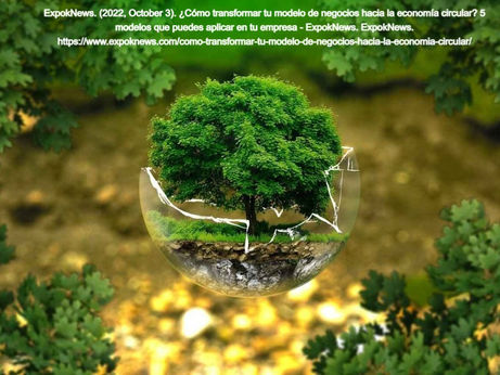 ¿Cómo transformar tu modelo de negocios hacia la economía circular? 5 modelos que puedes aplicar en 