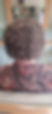 jelena.jpeg