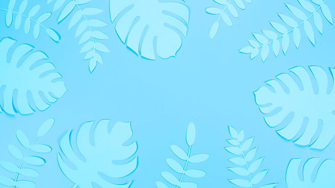 frame-paper-leaves.jpg