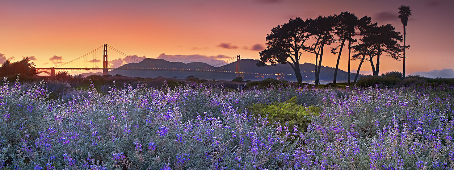 San Francisco Golden Gate Bridge Sunset at Crissy Field