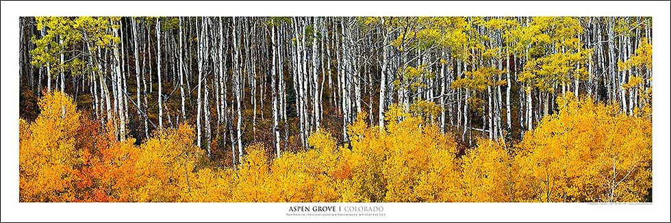 Thumbnail: Aspen Grove Colorado